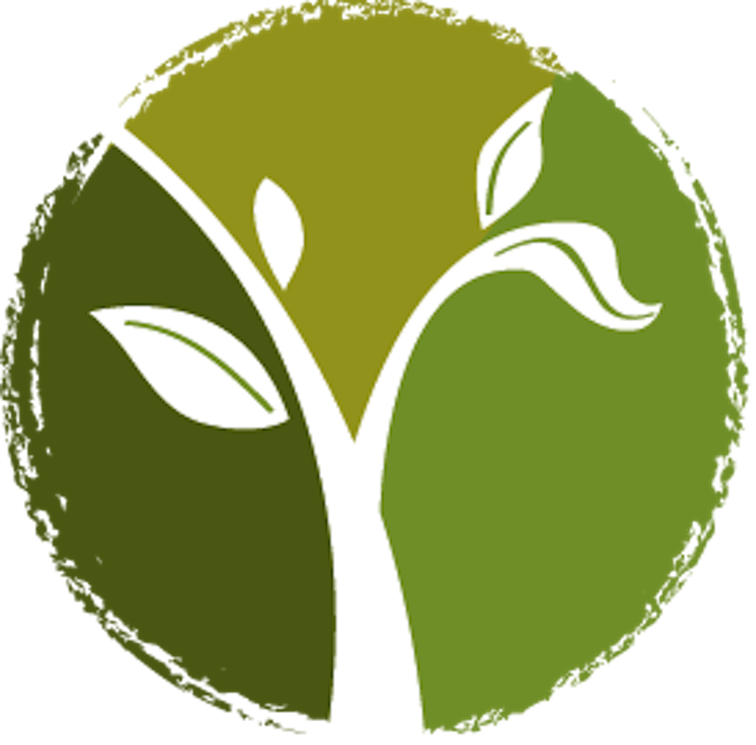 Restoration Community Church Sermons cover